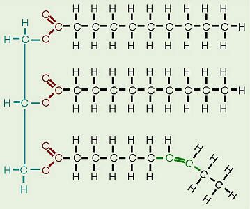 Lipids Monomer Structure