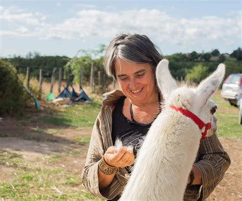 Wecandoo D Couvrez Un Levage De Lamas Et Transformez La Laine