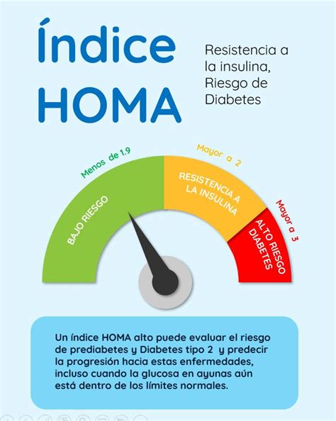 Indice De Homa Alto - Laboratorio - ¿Qué es el índice HOMA? 🤓 Es un examen que evalúa cómo tu ...