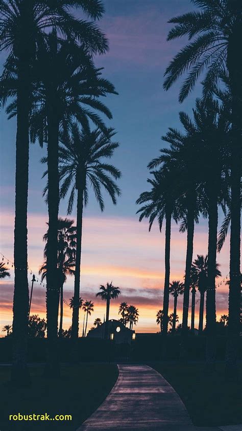 Palm Trees Sunset IPhone HD Phone Wallpaper Pxfuel