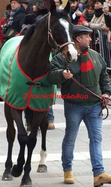 PALIO BUTI SAN MICHELE HA IL NUOVO FANTINO Brontolo Dice La Sua