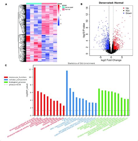 Degs Identified By Rna Seq And Associated Go Terms A B Heatmap And