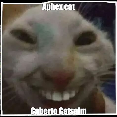 Meme Aphex Cat Caberto Catsalm All Templates Meme Arsenal