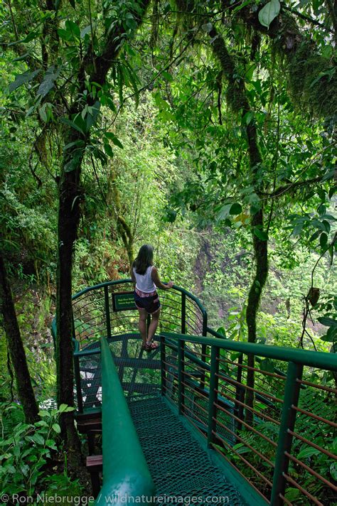 La Paz Waterfall Gardens | Photos by Ron Niebrugge