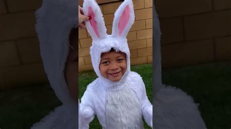 Diy Easter Bunny Costume For Adults Hop Into Spring With This Easy Guide