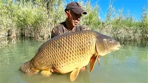 Il Trailer Di Carpfishing Lago Di Scandarello Luglio Youtube