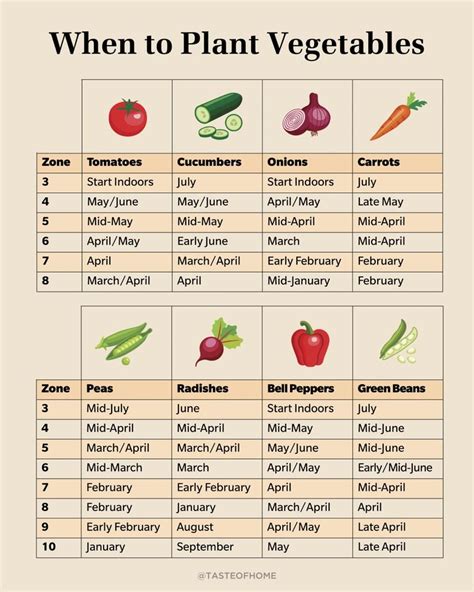 Arizona Vegetable Planting Guide A Visual Guide For Low Desert