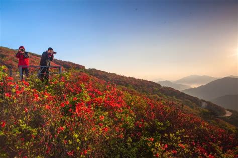 2023年湖南生态旅游节暨第十四届湖南·阳明山“和”文化旅游节（杜鹃花会）开幕 永州 新湖南