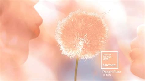 Pantone Anuncia Peach Fuzz Como Cor Do Ano 2024