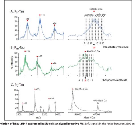 Figure 3 From A Combinatorial Native Ms And Lc Msms Approach Reveals High Intrinsic