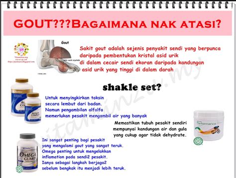 Pengedar Shaklee Set Penyakit Gout