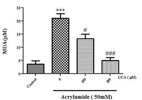 Scielo Brasil In Vitro Study Towards Role Of Acrylamide Induced