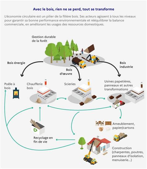 Forêts et filières bois devenez acteurs de la transition écologique