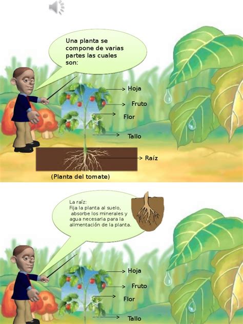 Pdf Partes De La Planta Dokumen Tips