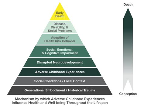 About The Cdc Kaiser Ace Study Violence Preventioninjury Centercdc