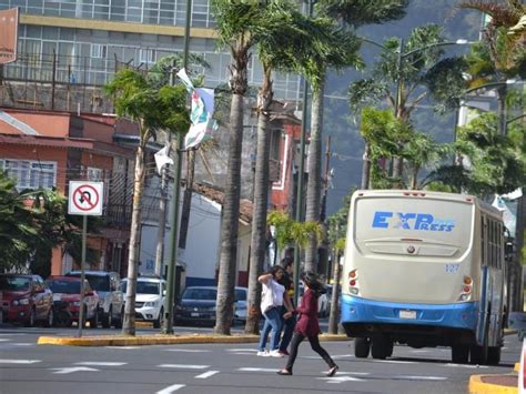 Surada En Orizaba Deja árboles Caídos Y Cortes De Energía Eléctrica