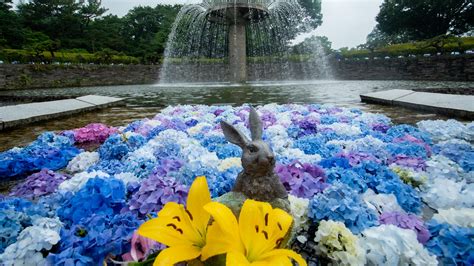 Food10 国営昭和記念公園公式ホームページ