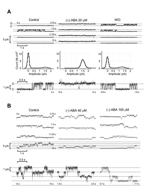 Supplemental Figure 1 ABA Increases The K Out Channel Activity In