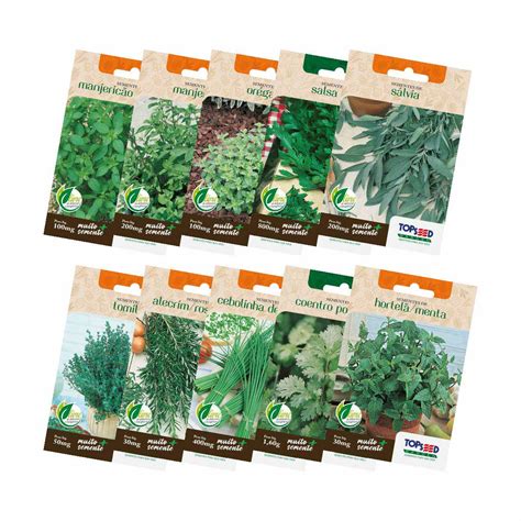 Kit Sementes De Temperos Variedades Topseed Garden Plantei