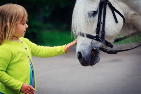 Lets Discuss Equine Assisted Therapy Vs Hippotherapy