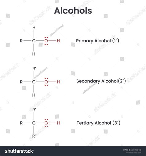 Alcohol Biochemistry Functional Group Vector Infographic Stock Vector ...