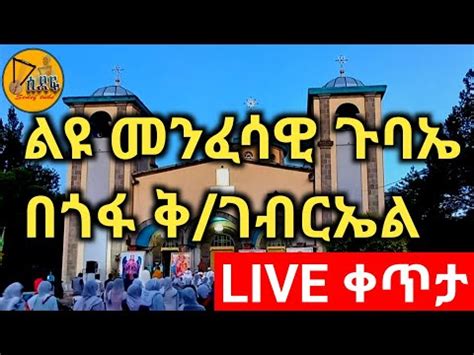 live ልዩ መንፈሳዊ ጉባኤ በጎፋ ቅ ገብርኤል YouTube