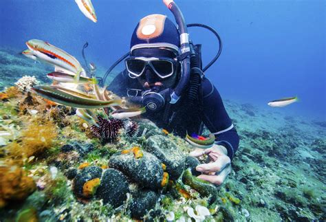 Tauchen In Griechenland Unterwasser Urlaub In Der Antike Momondo