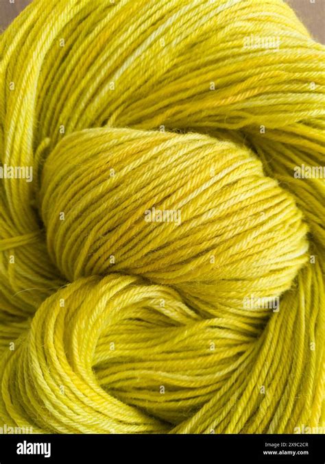 Close Up Photo Of Twisted Yellow Green Hand Dyed Yarn Hank Stock Photo