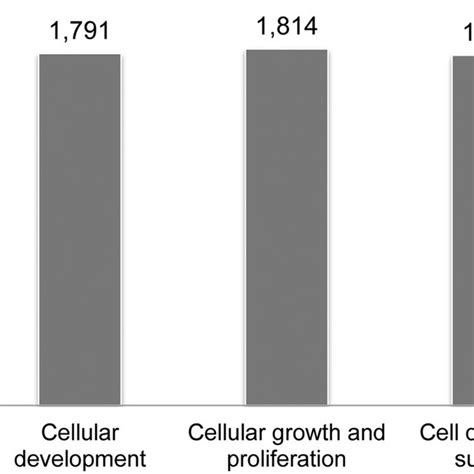 Molecular And Cellular Functions Of Potentially Targeted Genes By The