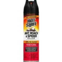 Hot Shot Wasp Hornet Killer Super Foods