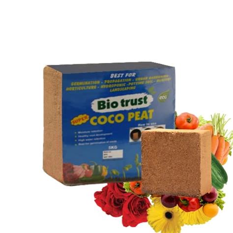 Buy Evergreeness India Cocopeat Kg Block Cocopeat For Plants Growing