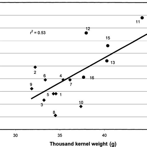 The Relationship Between Thousand Kernel Weight G And Coleoptile