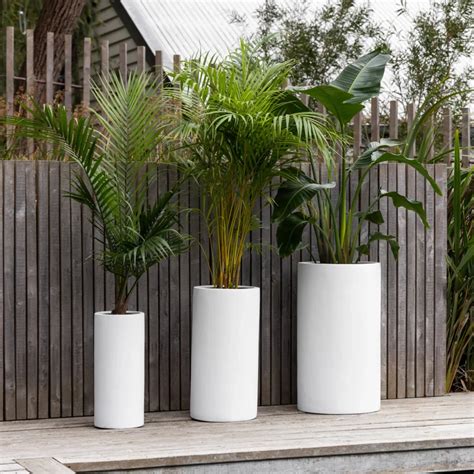 10 Stylish Indoor Plant Pots To Elevate Your Green Oasis