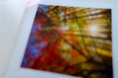 Ghislain Sillaume Flickr