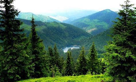 Carpathian Mountains & Bukovel Resort | Top Must Visit Places in Ukraine