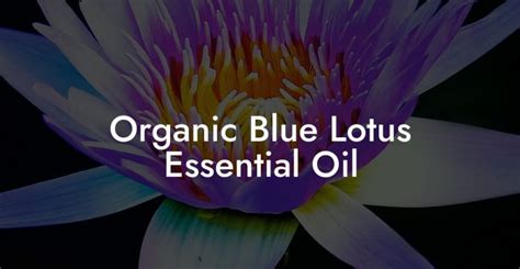 Organic Blue Lotus Essential Oil - Pure Blue Lotus Oil