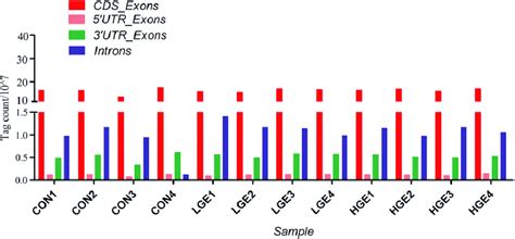 Numbers Of Exons And Introns Tag Count Is The Number Of Reads Mapped Download Scientific