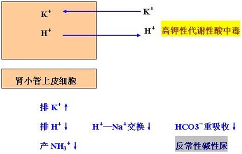 无标题文档