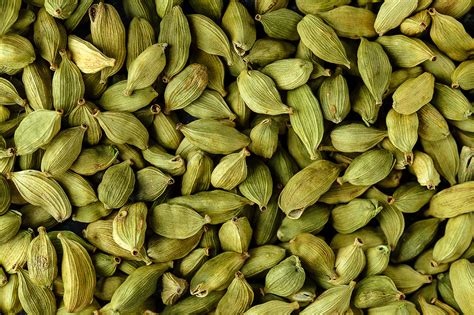 Cardamomo Propiedades Beneficios Y Contraindicaciones Sala De Prensa