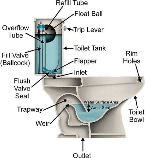 Toilet Bowl Schematic Diagram