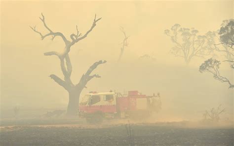 Joven Vende Su Pack Para Combatir Los Incendios En Australia The