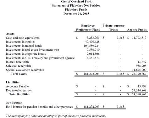 The Basic Financial Statements – Financial Strategy for Public Managers