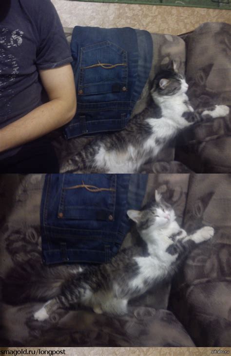 Левитация | Пикабу