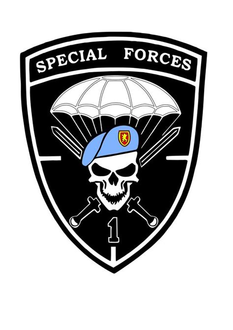 Special Operations Logo