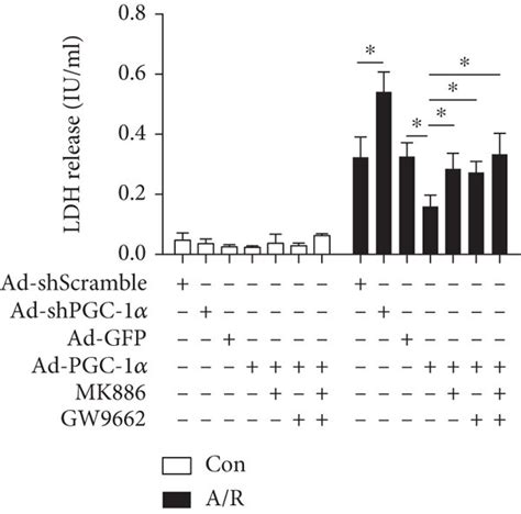 Pgc 1α Regulates The Activation Of Pparα And Pparγ In Vivo And In Vitro