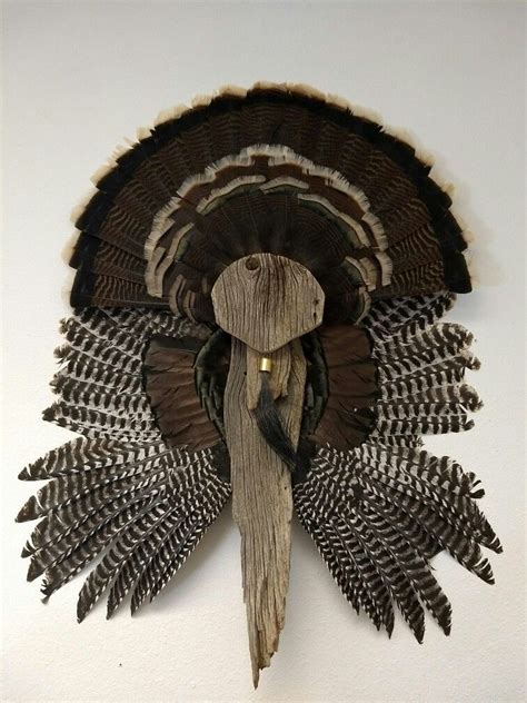 Turkey Fan And Wing Mount With Barn Wood Turkey Hunting Decor Turkey