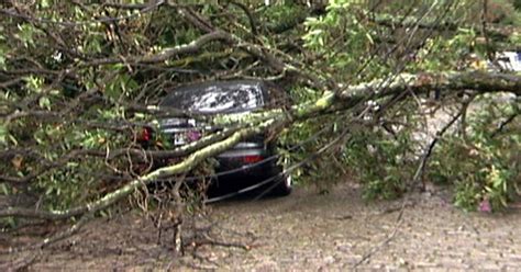 G Rvore Cai Derruba Poste E Atinge Carro Na Zona Sul De S O Paulo