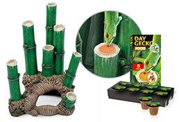 Exo Terra Bamboo Forest Habitat Kit Cornel S World