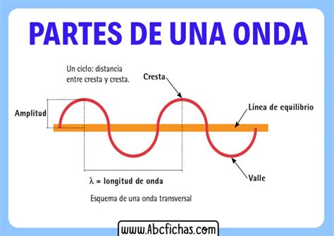 Las Partes De Una Onda Abc Fichas