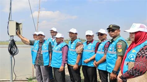 Pln Nyalakan Serentak Pasang Baru Dan Tambah Daya Listrik Sektor